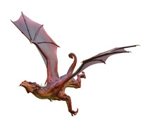 Red Dragon In A White Background