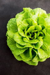 Wall Mural - lettuce salad leaf