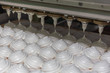 Confectionery factory, food industry production. Tray with marshmallow or zephyr made by automated machinery equipment