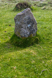Fototapeta Desenie - Standing Stone Circle in Dartmoor National Park