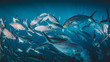 © RobLang/Stocksy - A school of fish