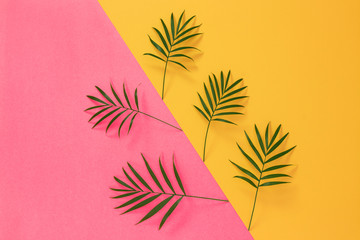 Wall Mural - Palm leaves on vibrant pink and yellow background