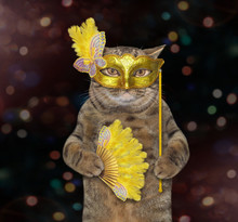 The Cat In A Yellow Masquerade Mask Is Holding A Feather Fan. Dark Background.