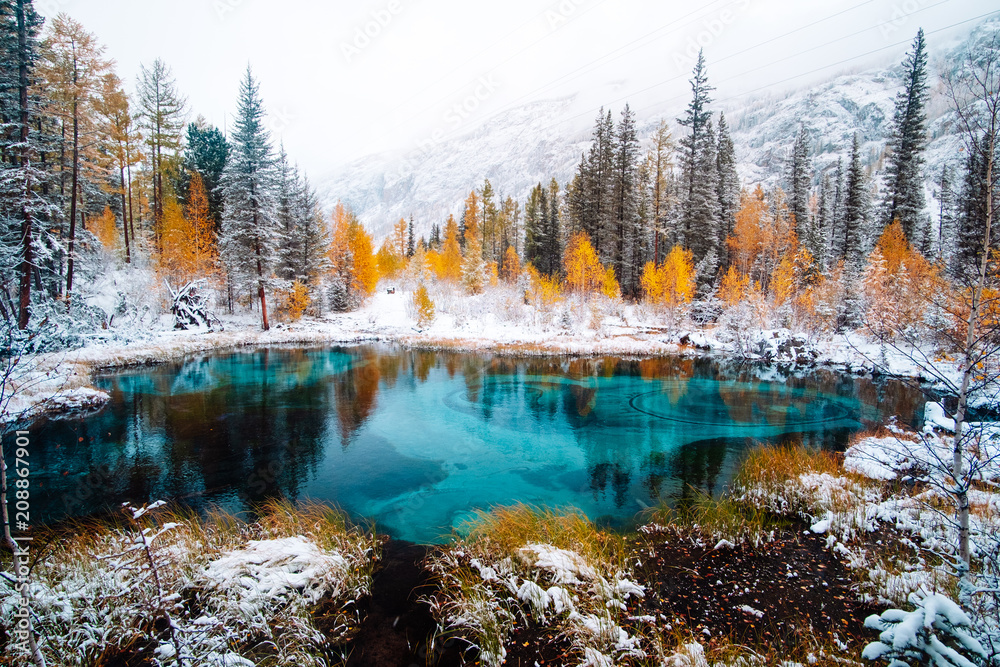 Fantastic blue geyser lake in the autumn forest. Altai, Russia. - obrazy, fototapety, plakaty 