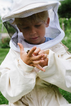 Little Boy With A Bee On His Hand