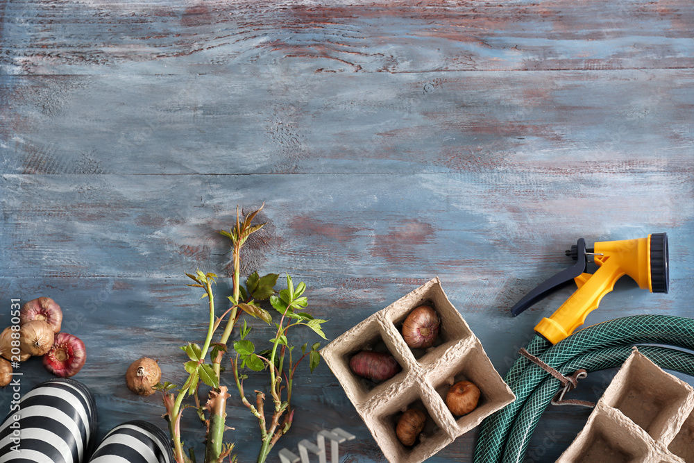 Rubber boots, flower bulbs and gardening tools on wooden background