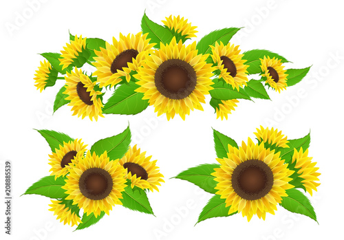 Download Sunflower collection with bud and leaf, bouquet and border ...