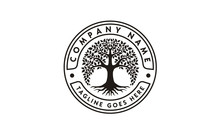 Root Leaf Family Tree Of Life Oak Banyan Maple Stamp Seal Emblem Label  Logo Design Vector