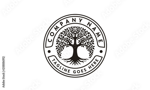 Fotomural Tree of Life Stamp Seal Emblem Oak Banyan logo design vector