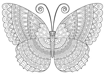 Back and white image of a butterfly on white background. Coloring-antistress for adults and children, for recreation and creativity. Hand drawn butterfly zentangle style for t-shirt design or tattoo.