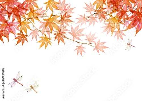 秋 紅葉 赤とんぼ 背景 水彩 イラスト Wall Mural Wallpaper Murals Tada