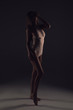 © stacestock - Adore frilly lingerie! Full length portrait of the attractive young lady with sexy body wearing fashionable lingerie standing in the dark photo studio.