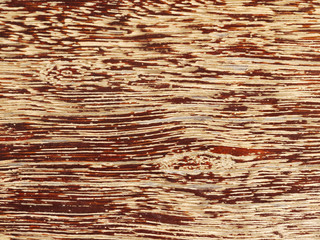 Sticker - wood texture