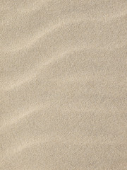 Poster - Sand texture.Dented wave of the blow of the wind