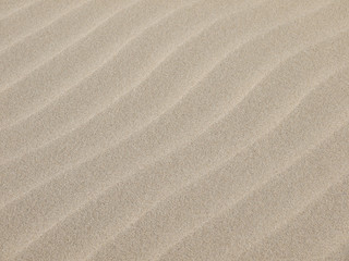 Poster - Sand texture.Dented wave of the blow of the wind