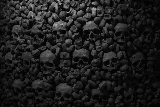 collection of skulls and bones covered with spider web and dust in the catacombs. numerous creepy sk