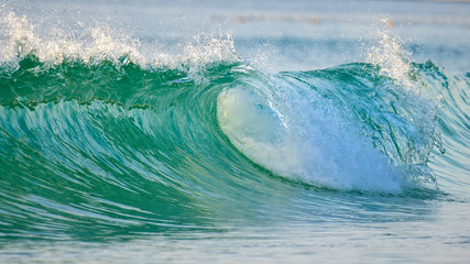 green wave motion