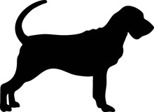 Bloodhound Silhouette Black