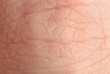 © Pixel-Shot - Texture of human skin, closeup