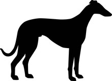 Italian Greyhound Silhouette Black