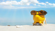 Urlaub am Meer - Sparschwein am Strand