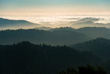 Fog And Clouds Rolling In Over The Hills Of Russian Ridge In The Bay Area