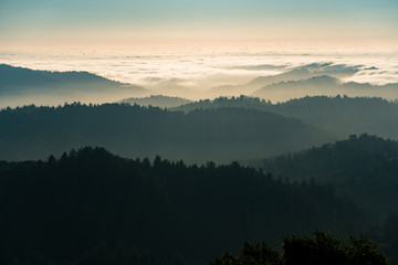 fog and clouds rolling in over the hills of russian ridge in the bay area