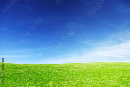 Fotografie, Obraz An ideal meadow enlightened with sunshine on a spring day