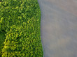 Aerial view from the drone, a bird's eye view to the forest with green spaces and agricultural field with the road dividing them in half at sunset in the summer evening,