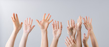 Many Women's Hands Raised Up On A Gray Background.