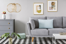 Light Blue Pillow Placed On Grey Couch In Bright Living Room Interior With Checkerboard Linoleum Floor, Fresh Flowers In Vase On Cupboard Two Posters Hanging On The Wall And Gold Lamp