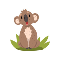 Sticker - Cute koala bear sitting on the grass, Australian marsupial animal character vector Illustrations on a white background