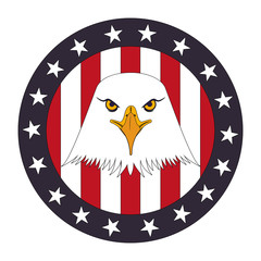 american bald eagle circular emblem vector illustration design