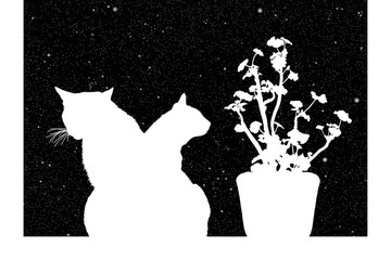 Sticker - Cats near window at night. Vector illustration with silhouettes of kittens and flower in pot under starry sky. Inverted black and white.