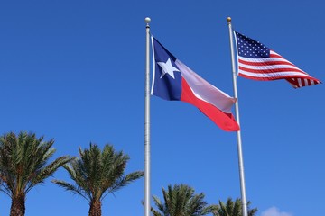 Texas flag, lone star flag and United States of America US flag against blue sky background and palm trees