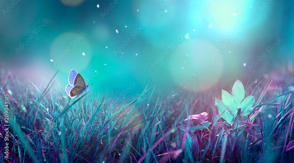 Butterfly in the grass on a meadow at night in the shining moonlight on nature in blue and purple tones, macro. Fabulous magical artistic image of a dream, copy space. - obrazy, fototapety, plakaty 