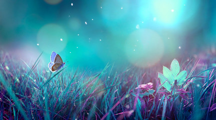 Fotomurales - Butterfly in the grass on a meadow at night in the shining moonlight on nature in blue and purple tones, macro. Fabulous magical artistic image of a dream, copy space.