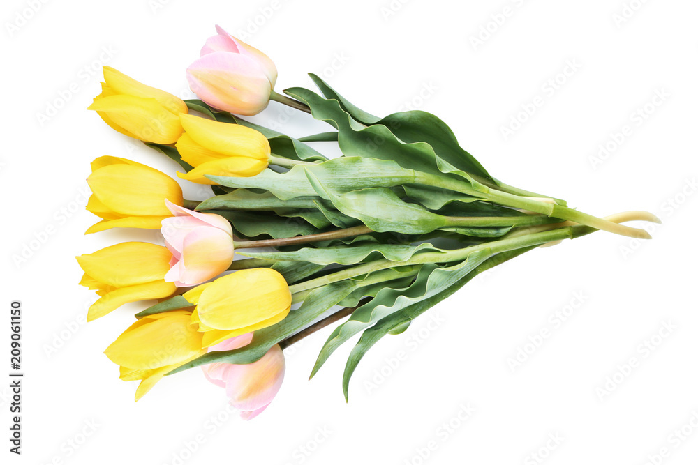 Beautiful tulips on white background