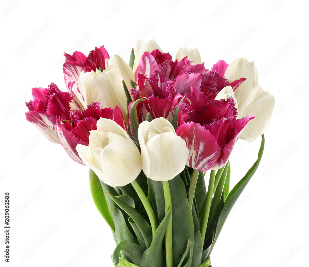 Bouquet of beautiful tulips on white background