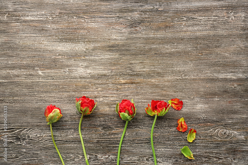 Beautiful tulips on wooden background