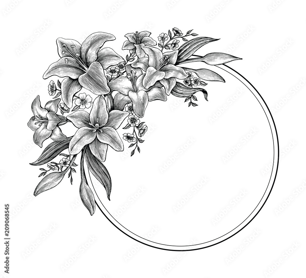 Lily Kwiaty Ręka Rysunek Sztuka Czarno Biała Clipart Dla