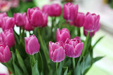 Fototapeta Tulipany - Bouquet of beautiful tulips, closeup