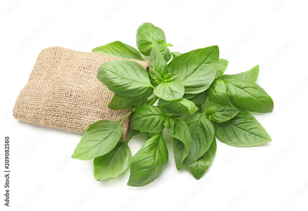 Sackcloth with fresh basil on white background