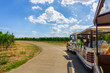 © Southtownboy Studio - Tourist excursion train in champagne vineyards at montagne de reims on countryside village background, France