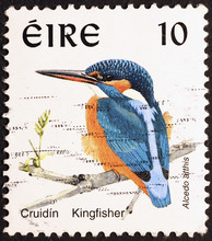 Common Kingfisher On Irish Postage Stamp