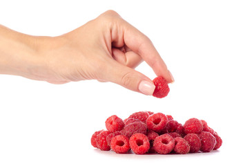 Canvas Print - Raspberries in hand on a white background isolation