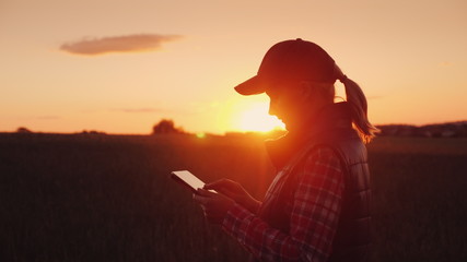 Young woman farmer working with tablet in field at sunset. The owner of a small business concept