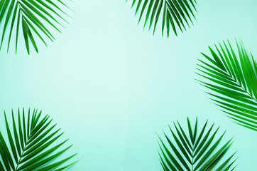 tropical palm leaves on pastel blue background. minimal summer concept. creative flat lay with copy 
