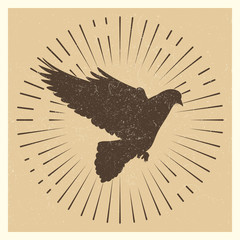 Sticker - Dove vintage vector pigeon