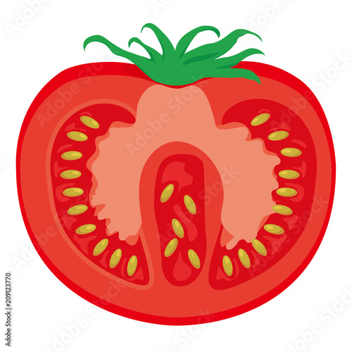 カットされたトマトの断面イラスト 野菜のイラスト Tomato ベクターデータ Vecteur Stock Adobe Stock